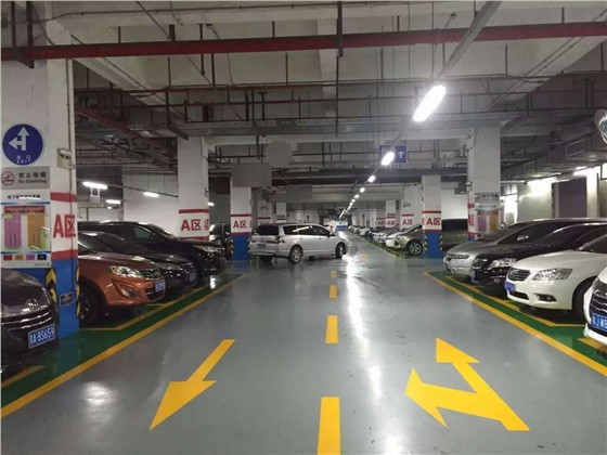 mmexport1463803736744.jpg