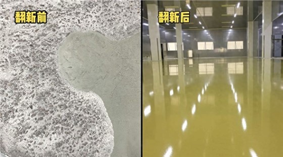 2024120608.jpg