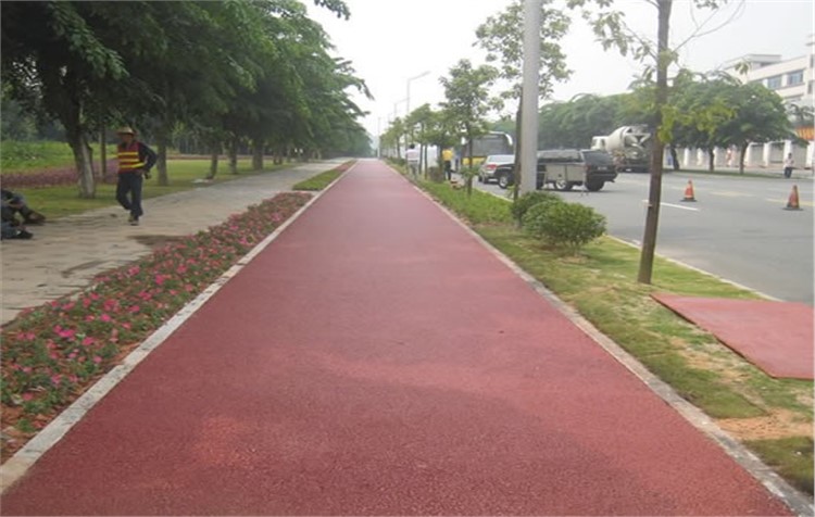 NDS206 彩色綠道防滑地坪涂裝