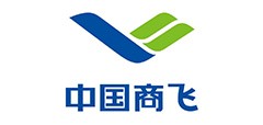 中國商飛.jpg