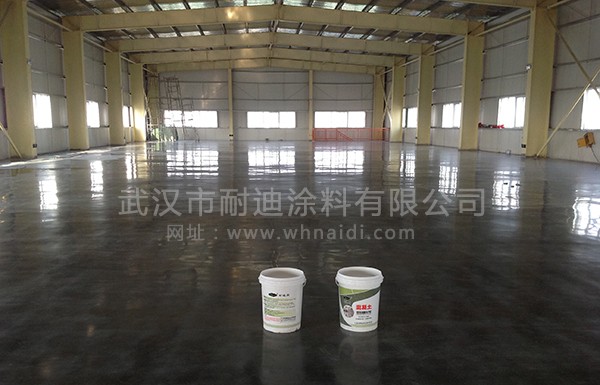 武漢提愛(ài)思全興汽車配件公司混凝土密封固化劑地坪工程