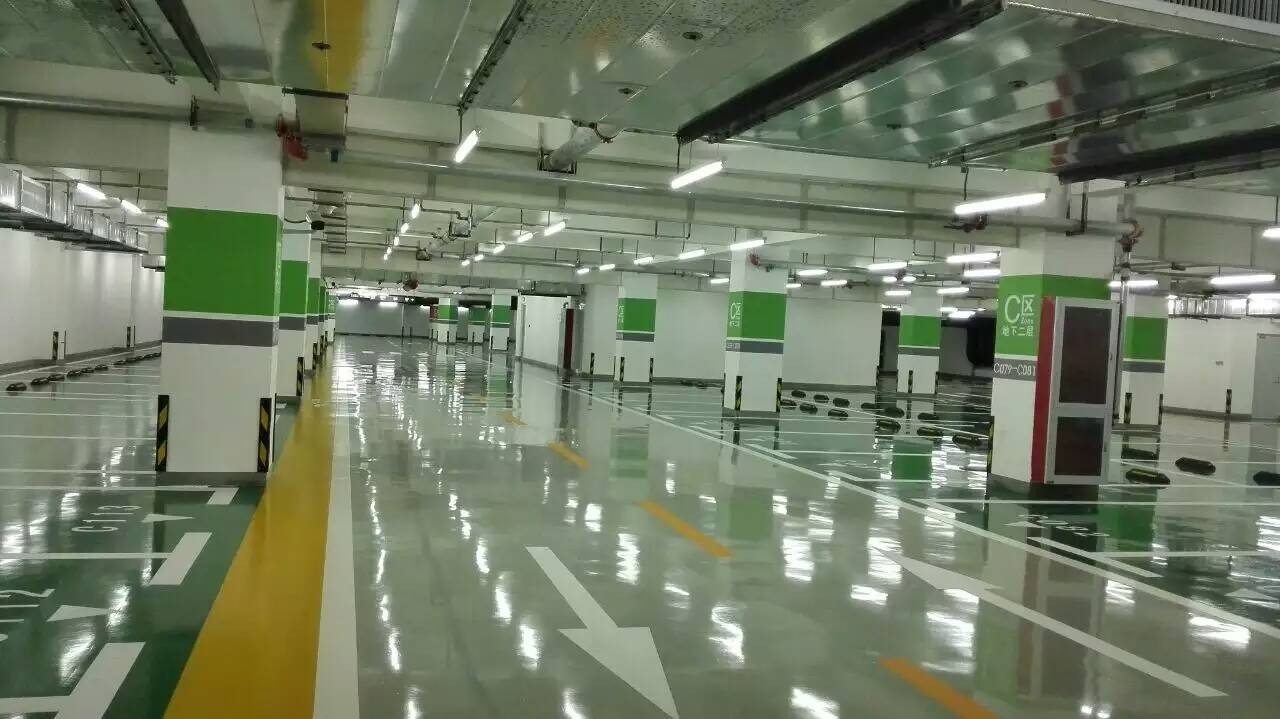 mmexport1457436353331.jpg