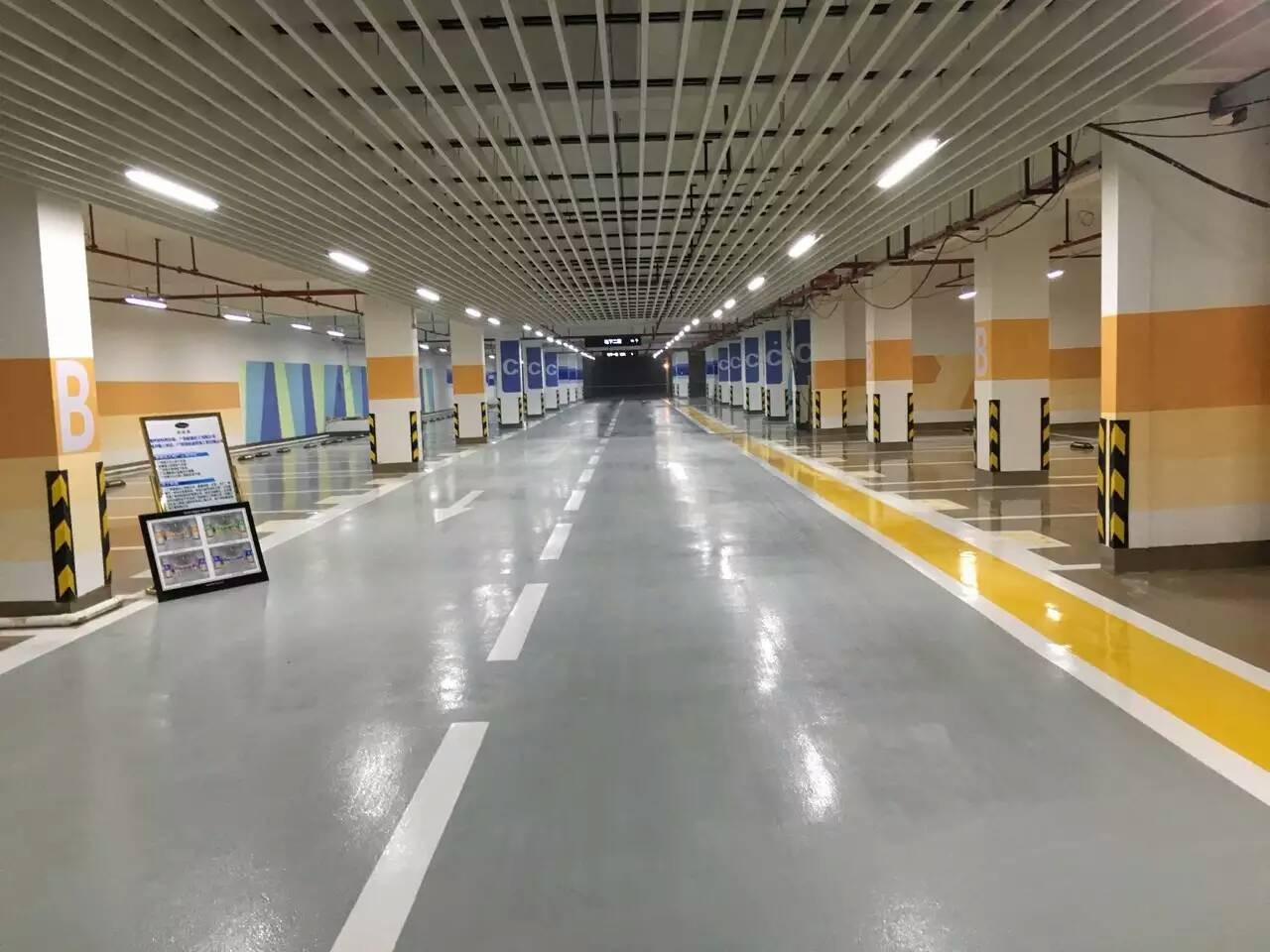 mmexport1458308998506.jpg