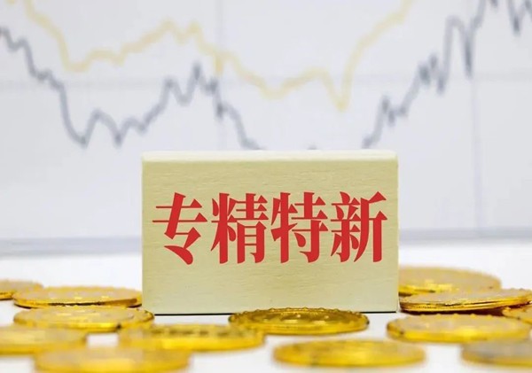 新聞速遞｜耐迪化工獲評(píng)“廣東省專(zhuān)精特新中小企業(yè)”
